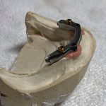 IMG_0868